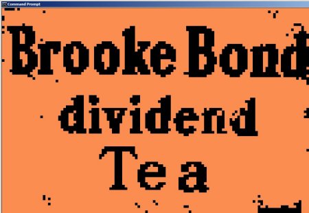 brooke-x450.jpg (26422 bytes)